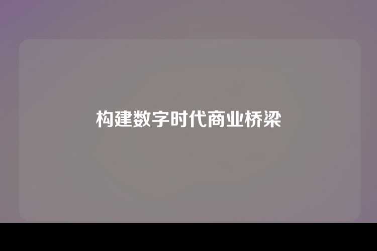 构建数字时代商业桥梁