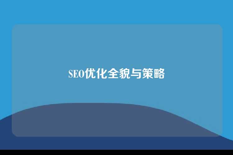 SEO优化全貌与策略