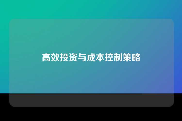 高效投资与成本控制策略