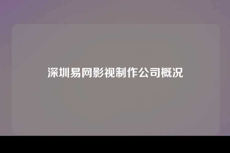 深圳易网影视制作公司概况