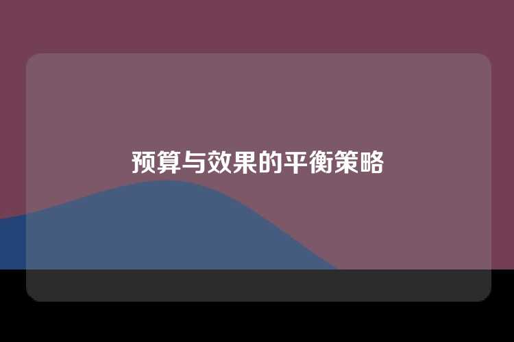 预算与效果的平衡策略