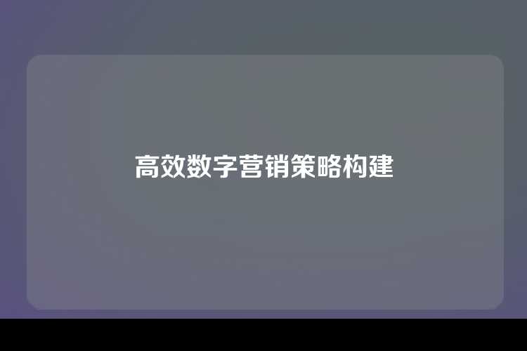 高效数字营销策略构建