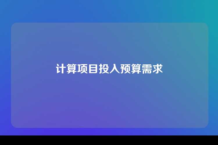 计算项目投入预算需求