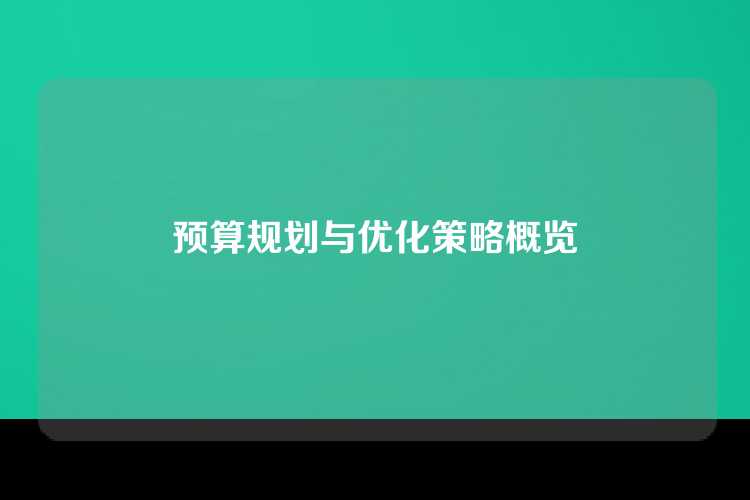 预算规划与优化策略概览