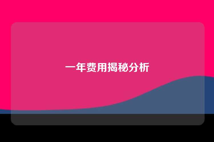 一年费用揭秘分析