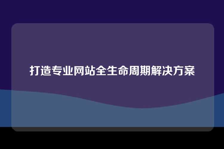 打造专业网站全生命周期解决方案