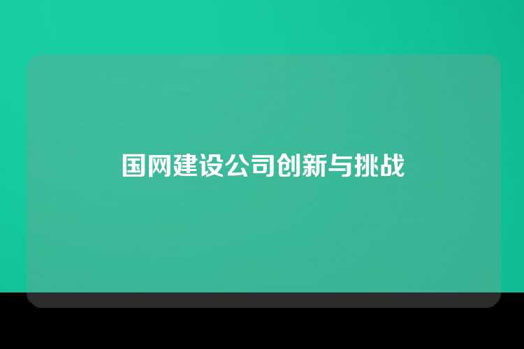 国网建设公司创新与挑战