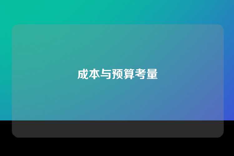 成本与预算考量