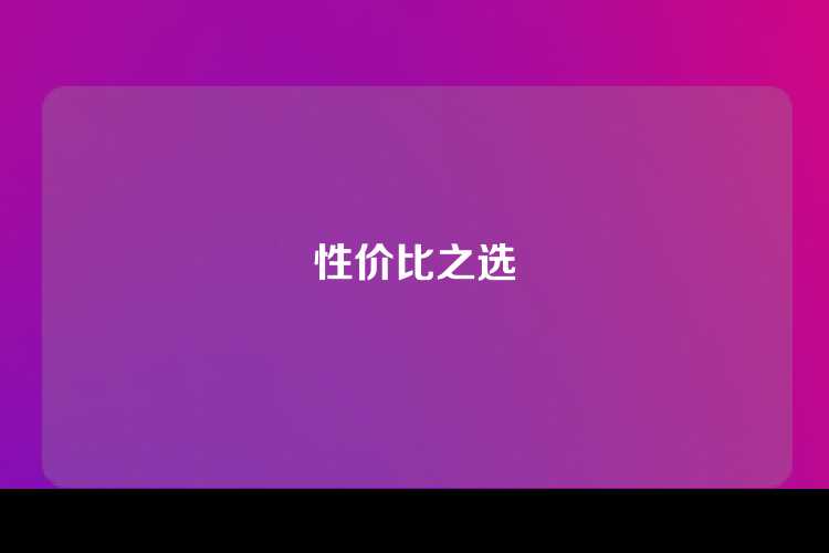 性价比之选