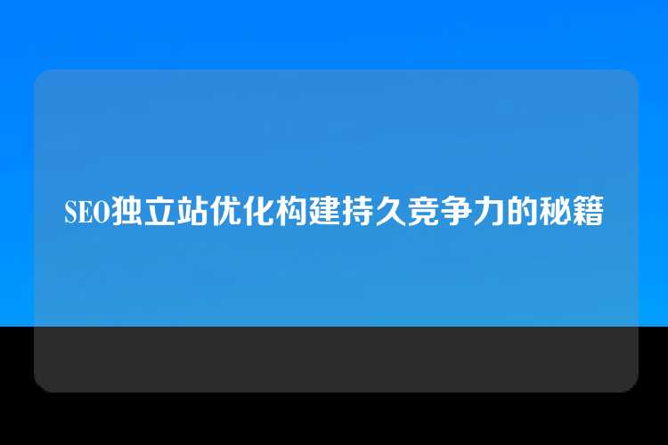 SEO独立站优化构建持久竞争力的秘籍