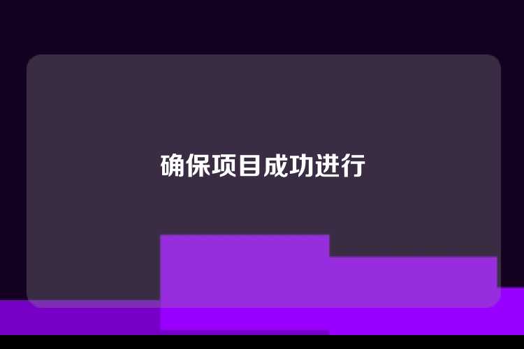 确保项目成功进行