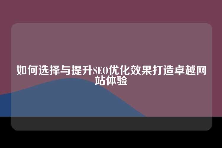 如何选择与提升SEO优化效果打造卓越网站体验
