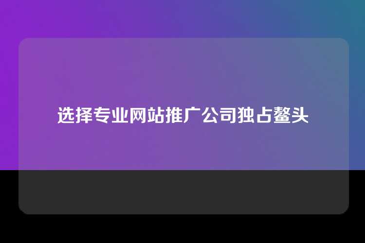 选择专业网站推广公司独占鳌头