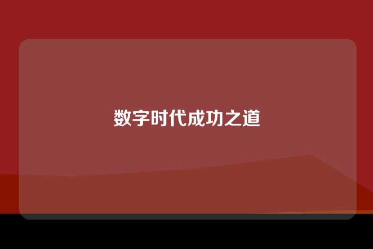 数字时代成功之道