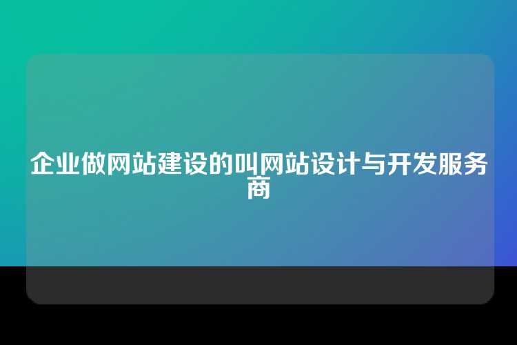 企业做网站建设的叫网站设计与开发服务商