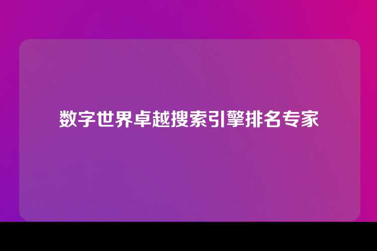 数字世界卓越搜索引擎排名专家