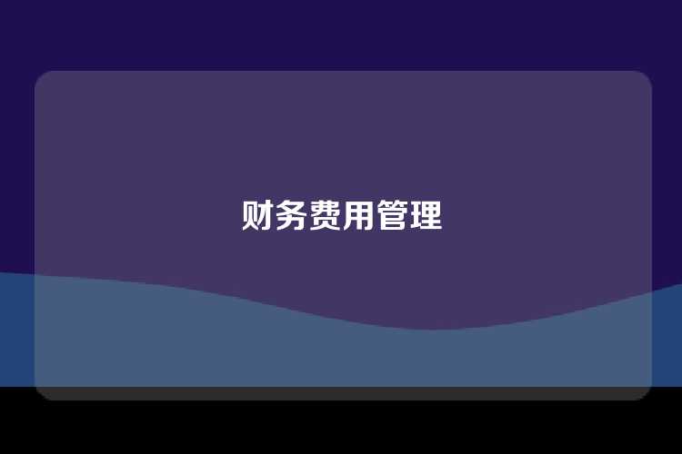 财务费用管理