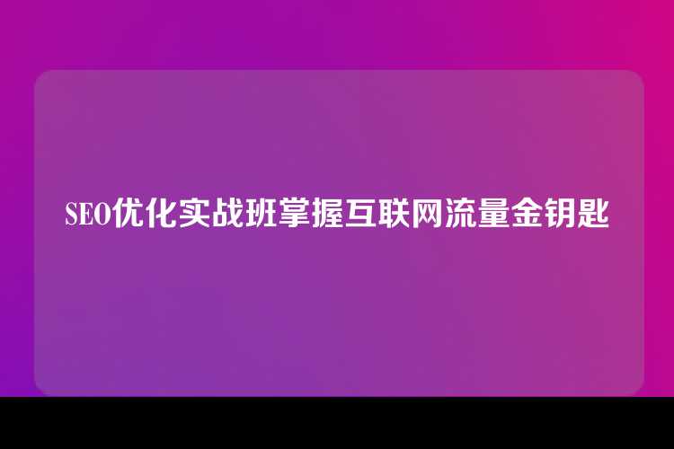 SEO优化实战班掌握互联网流量金钥匙