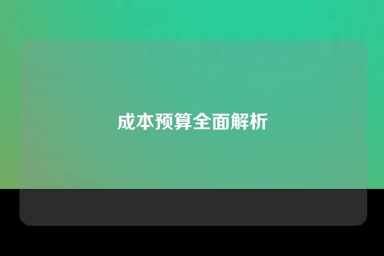 成本预算全面解析