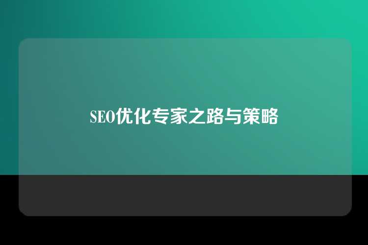 SEO优化专家之路与策略