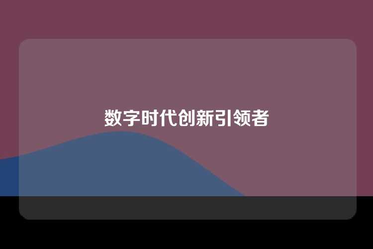 数字时代创新引领者