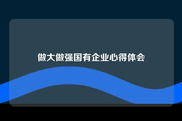 做大做强国有企业心得体会