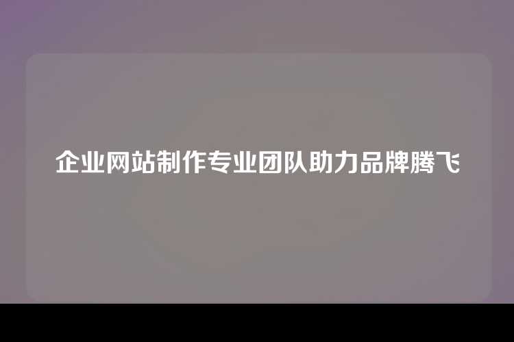 企业网站制作专业团队助力品牌腾飞