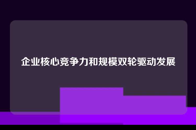 企业核心竞争力和规模双轮驱动发展