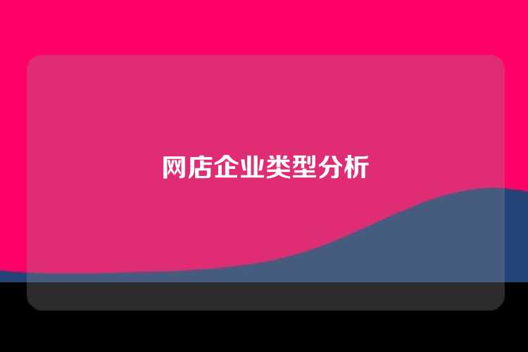网店企业类型分析