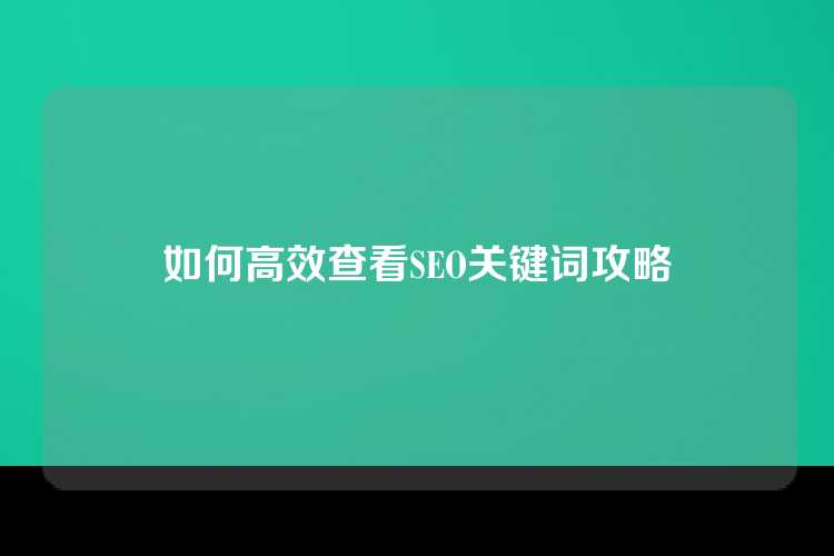 如何高效查看SEO关键词攻略