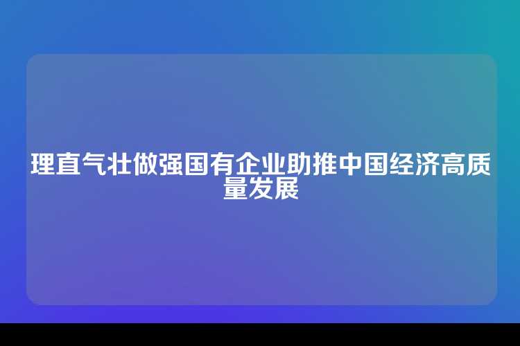 理直气壮做强国有企业助推中国经济高质量发展