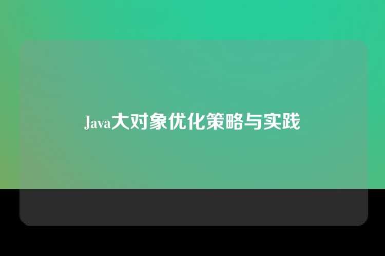 Java大对象优化策略与实践