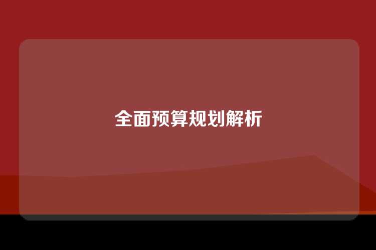 全面预算规划解析