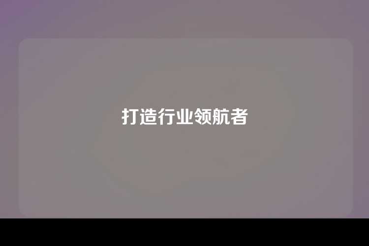 打造行业领航者