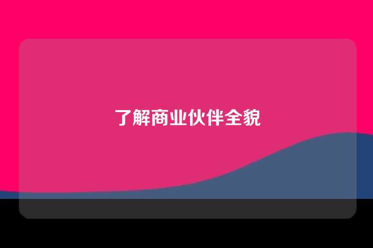 了解商业伙伴全貌