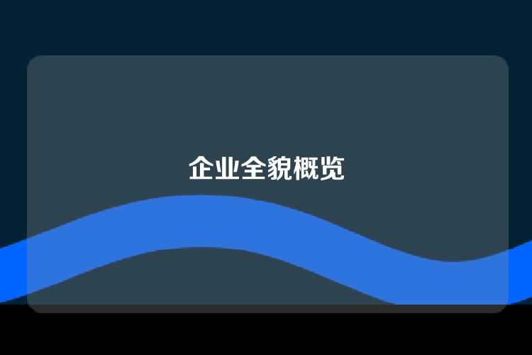 企业全貌概览