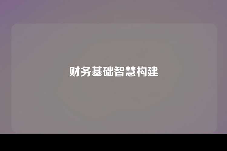 财务基础智慧构建