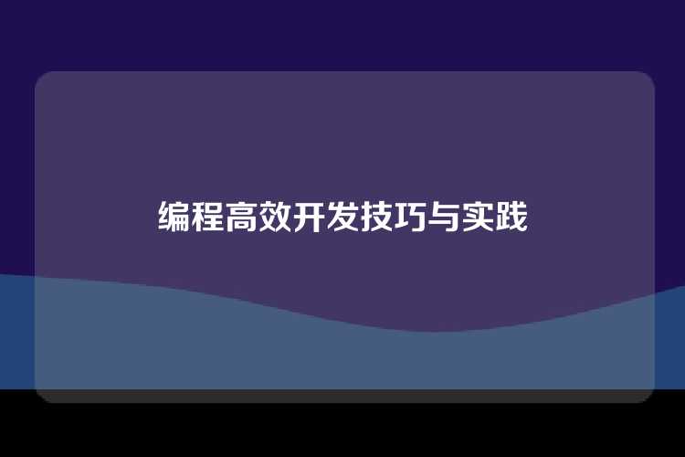 编程高效开发技巧与实践