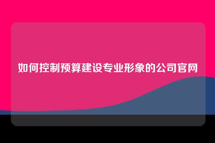如何控制预算建设专业形象的公司官网