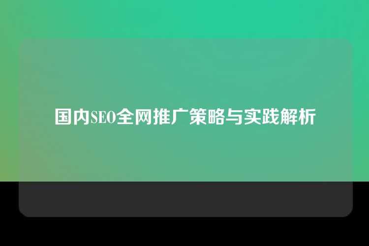 国内SEO全网推广策略与实践解析