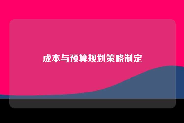成本与预算规划策略制定