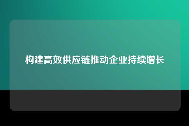 构建高效供应链推动企业持续增长