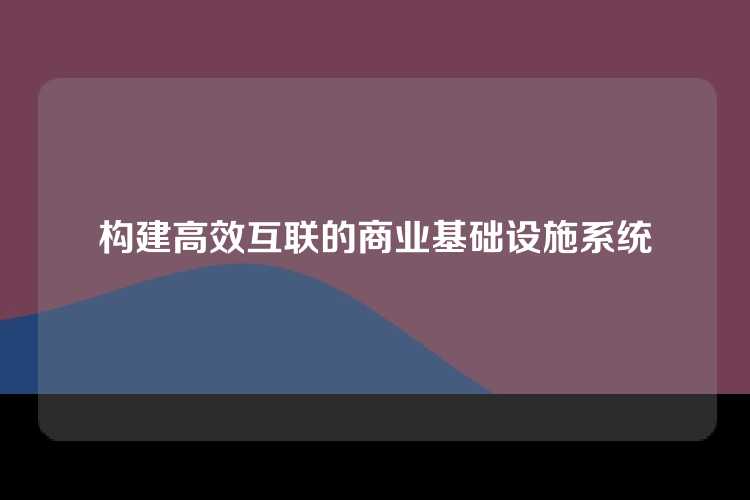构建高效互联的商业基础设施系统