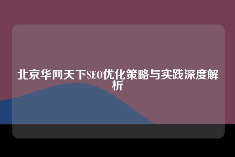 北京华网天下SEO优化策略与实践深度解析