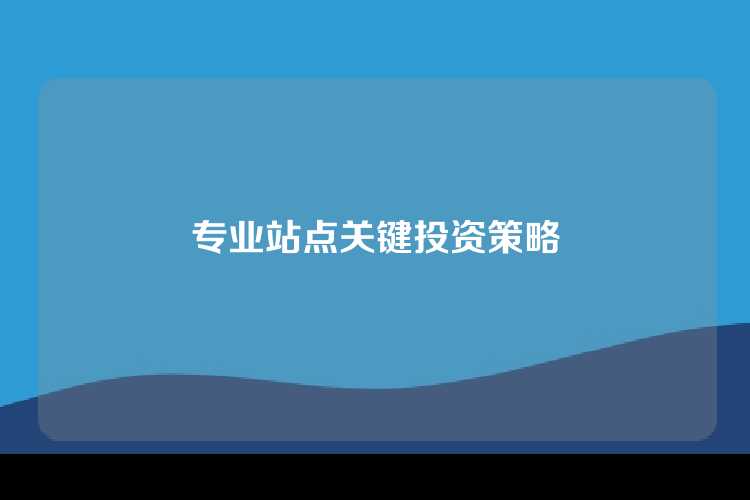 专业站点关键投资策略