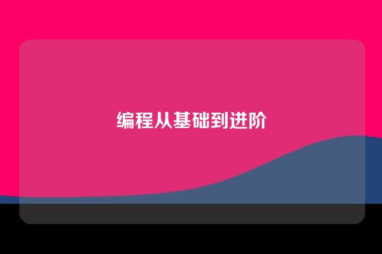编程从基础到进阶