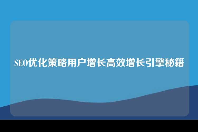 SEO优化策略用户增长高效增长引擎秘籍