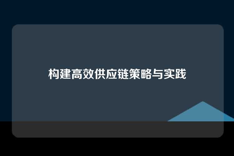 构建高效供应链策略与实践