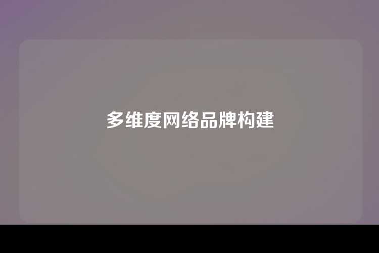 多维度网络品牌构建