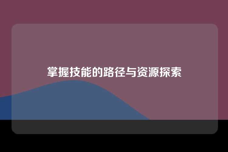 掌握技能的路径与资源探索